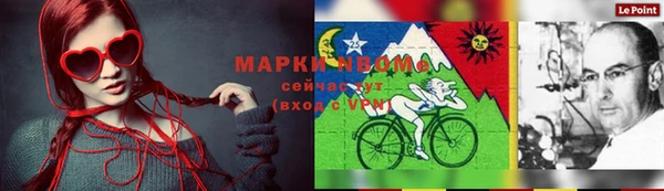 спиды Бородино