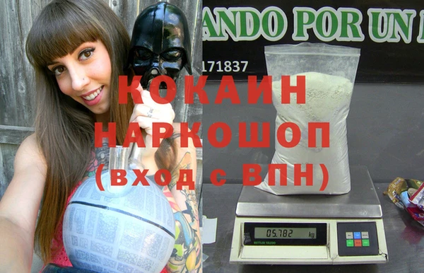 спиды Бородино