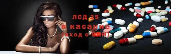 спиды Бородино