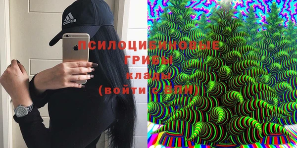 спиды Бородино