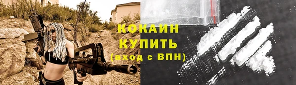 спиды Бородино