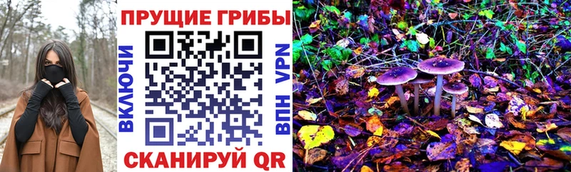 Купить где  Олёкминск  Псилоцибиновые грибы Magic Shrooms 